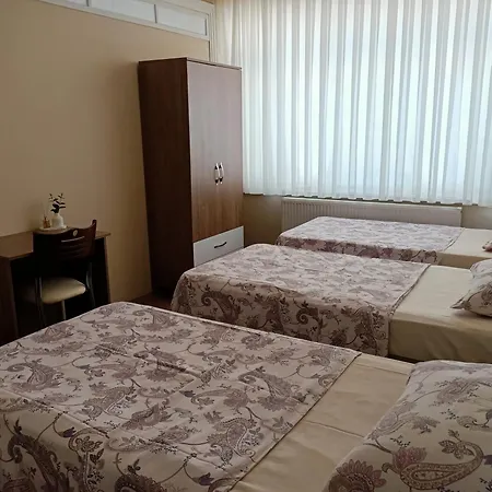 Проживание в семье Adali Эдирне
